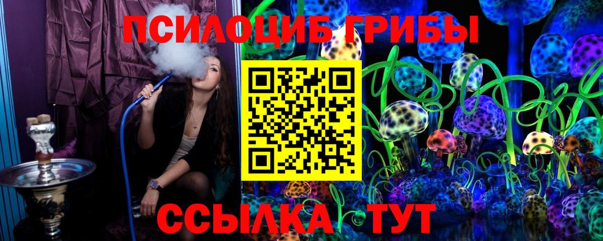 Бердск  Псилоцибиновые грибы мицелий  Вход с VPN 